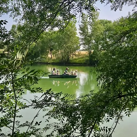 Domaine D'exception Avec Piscine Et *